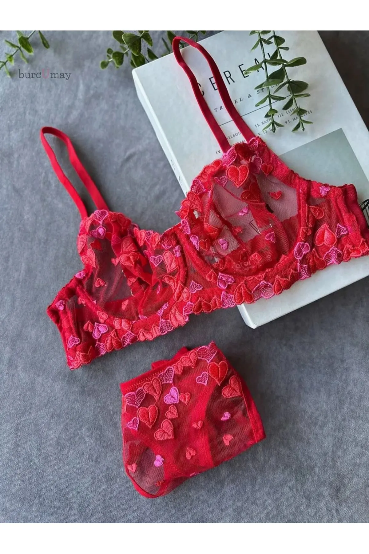 Women's Red Bow Detailed Sexy Fantasy Bra Thong Panty Lingerie Set