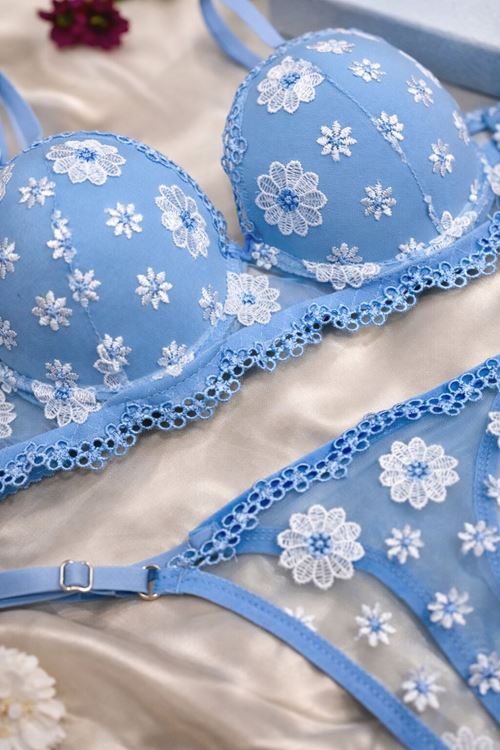Kadın Mavi Papatya İşlemeli Dantel Detaylı Çift Dolgulu Sütyen Transparan String Takımı