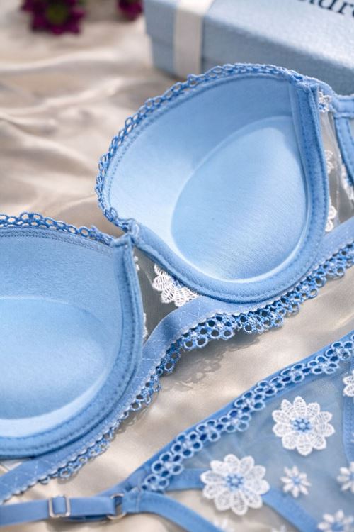 Kadın Mavi Papatya İşlemeli Dantel Detaylı Çift Dolgulu Sütyen Transparan String Takımı