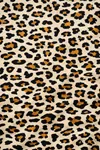 Women's Plus Size Leopard Print Pyjama Set — Milan Fabric, Embroidered Detail & Relaxed Fit